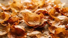 Uienschillen in plaats van kant-en-klare producten: hoe je ze in de tuin kunt gebruiken