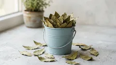 Slechts een paar blaadjes van dit kruid – en de lucht in huis voelt al frisser en schoner aan